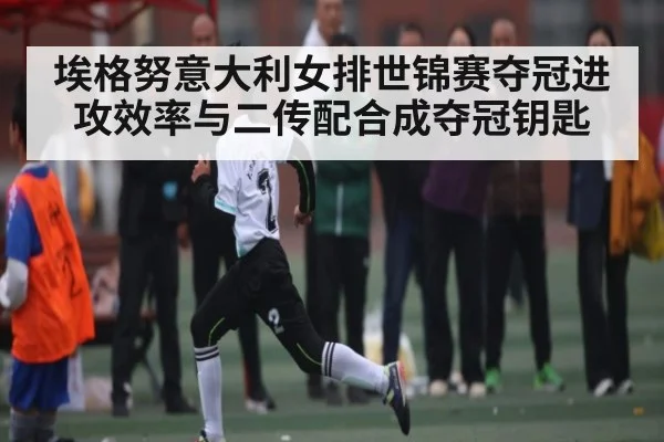 埃格努意大利女排世锦赛夺冠进攻效率与二传配合成夺冠钥匙（leisu）